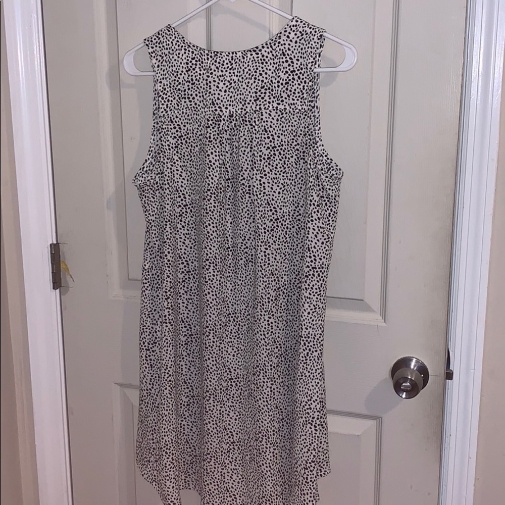 BNWT White/Black Polka Dot Sheath Dress